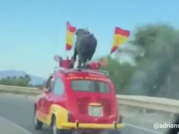 El coche "más español y muy español" circula ya por las carreteras andaluzas apoyando a la selección El coche "más español y muy español" circula ya por las carreteras andaluzas apoyando a la selección