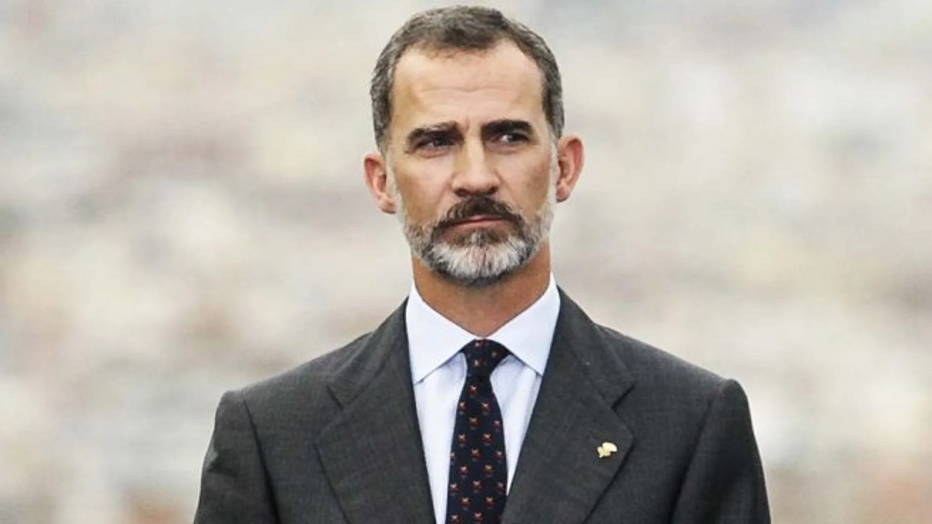 El Rey Felipe VI El Rey Felipe VI