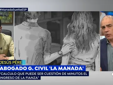 El abogado del Guardia Civil de 'La Manada': "Su salida de prisión no debería generar alarma social" El abogado del Guardia Civil de 'La Manada': "Su salida de prisión no debería generar alarma social"