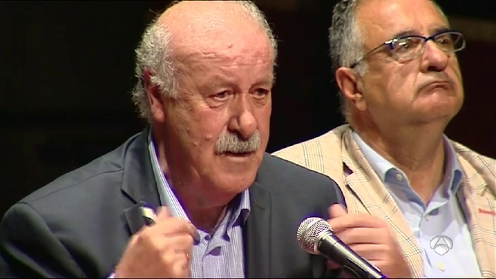 Vicente del Bosque, sobre la Selección: 