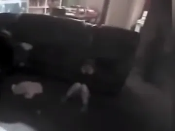 Un policía hiere a una niña de 9 años al disparar contra un perro que solo estaba ladrando Un policía hiere a una niña de 9 años al disparar contra un perro que solo estaba ladrando