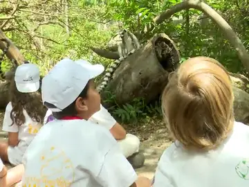 Los padres gastarán una media de 150€ semanales para entretener a sus hijos en verano Los padres gastarán una media de 150€ semanales para entretener a sus hijos en verano