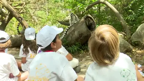 Los padres gastarán una media de 150€ semanales para entretener a sus hijos en verano Los padres gastarán una media de 150€ semanales para entretener a sus hijos en verano
