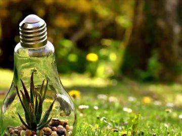 ¿Cómo podemos ayudar a proteger el medio ambiente? ¿Cómo podemos ayudar a proteger el medio ambiente?