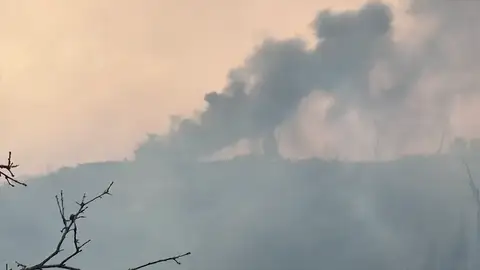 Más de 3.000 personas será evacuadas por un incendio al norte de San Francisco Más de 3.000 personas será evacuadas por un incendio al norte de San Francisco