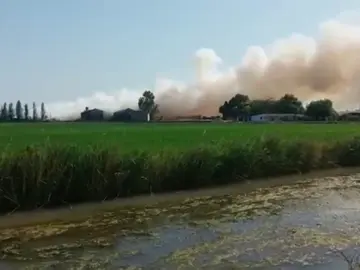 Bomberos trabajan en la extinción de un incendio en una fábrica abandonada de madera en la localidad valenciana de Sollana Bomberos trabajan en la extinción de un incendio en una fábrica abandonada de madera en la localidad valenciana de Sollana