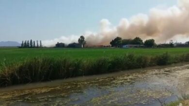 Bomberos trabajan en la extinción de un incendio en una fábrica abandonada de madera en la localidad valenciana de Sollana