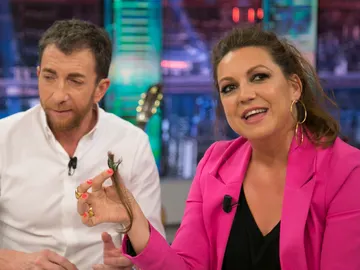 Niña Pastori cuenta el pequeño percance que ha sufrido con un chicle en 'El Hormiguero 3.0' Niña Pastori cuenta el pequeño percance que ha sufrido con un chicle en 'El Hormiguero 3.0'