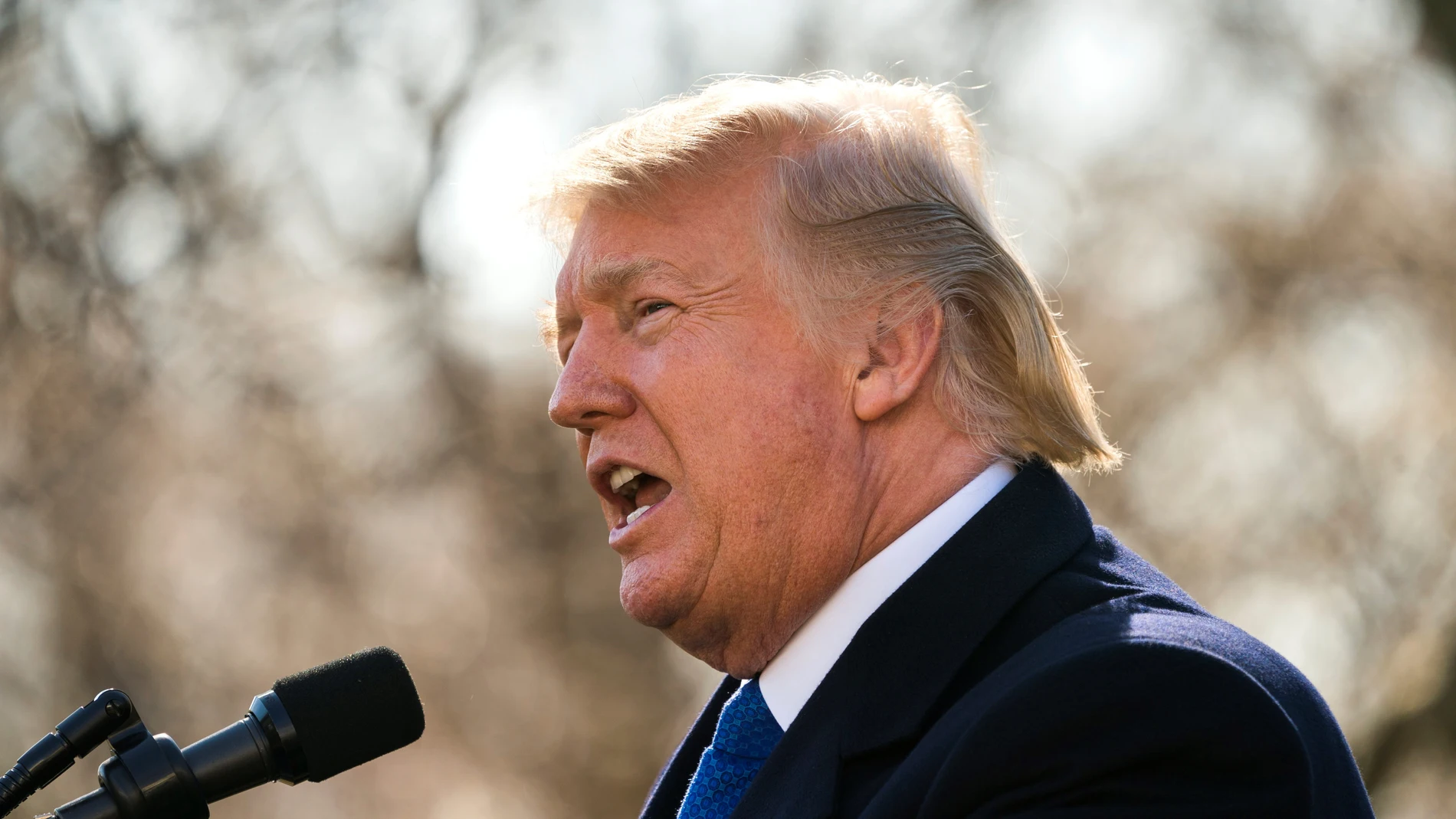 Donald Trump, presidente de EEUU Donald Trump, presidente de EEUU