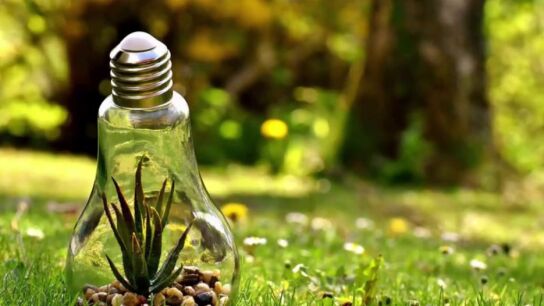 &iquest;C&oacute;mo podemos ayudar a proteger el medio ambiente?