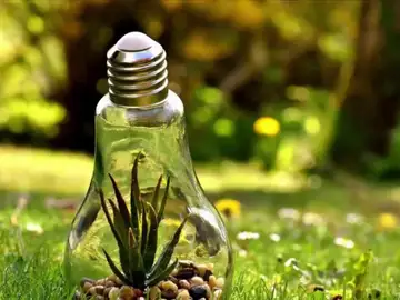 ¿Cómo podemos ayudar a proteger el medio ambiente? ¿Cómo podemos ayudar a proteger el medio ambiente?