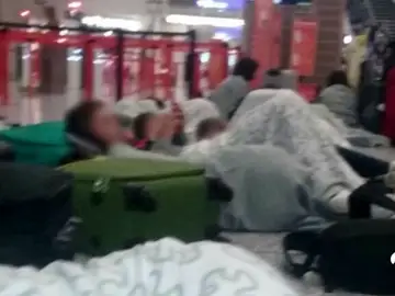 ninos ninos