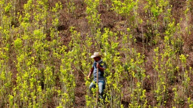 La ONU advierte del aumento del riesgo terrorista por un mayor tráfico de drogas en África