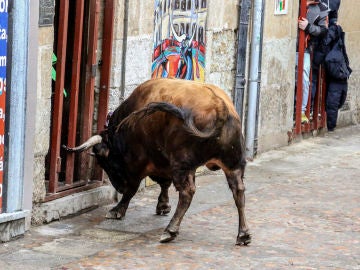 Imagen de archivo de un toro durante un encierro