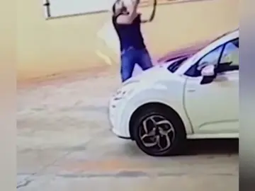 Un hombre coge al vuelo a un perro en un caída de 30 metros Un hombre coge al vuelo a un perro en un caída de 30 metros