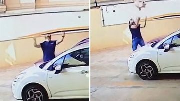 Perro cae de un balcón