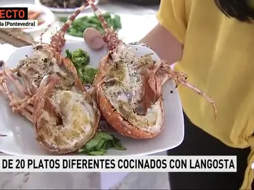 Langostas Langostas