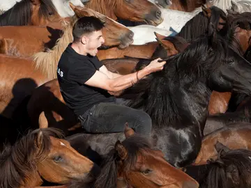 Rapa das Bestas de Sabucedo Rapa das Bestas de Sabucedo