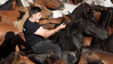 Rapa das Bestas de Sabucedo Rapa das Bestas de Sabucedo
