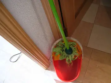 Una fregona Una fregona