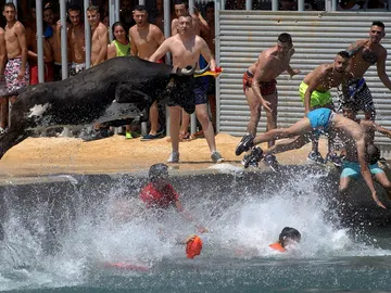 Bous a la Mar Bous a la Mar