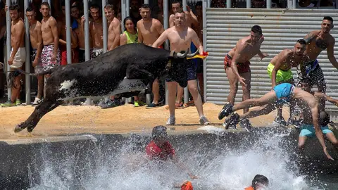 Bous a la Mar Bous a la Mar