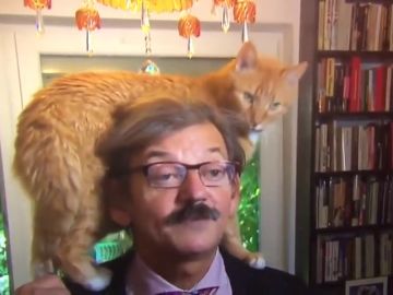 Un gato se convierte en el protagonista inesperado en una entrevista en directo a su dueño