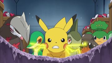 Pokémon