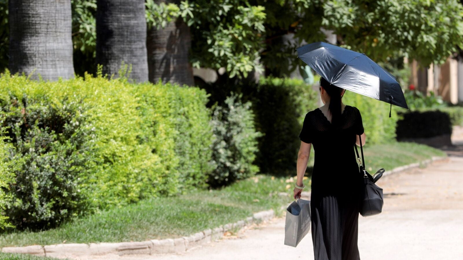 Un total de 11 provincias estarán en riesgo este miércoles por lluvias, tormentas y altas temperaturas de hasta 38ºC