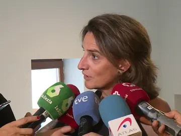 Teresa Ribera, ministra de Transición Ecológica: "El diesel tiene los días contados" Teresa Ribera, ministra de Transición Ecológica: "El diesel tiene los días contados"