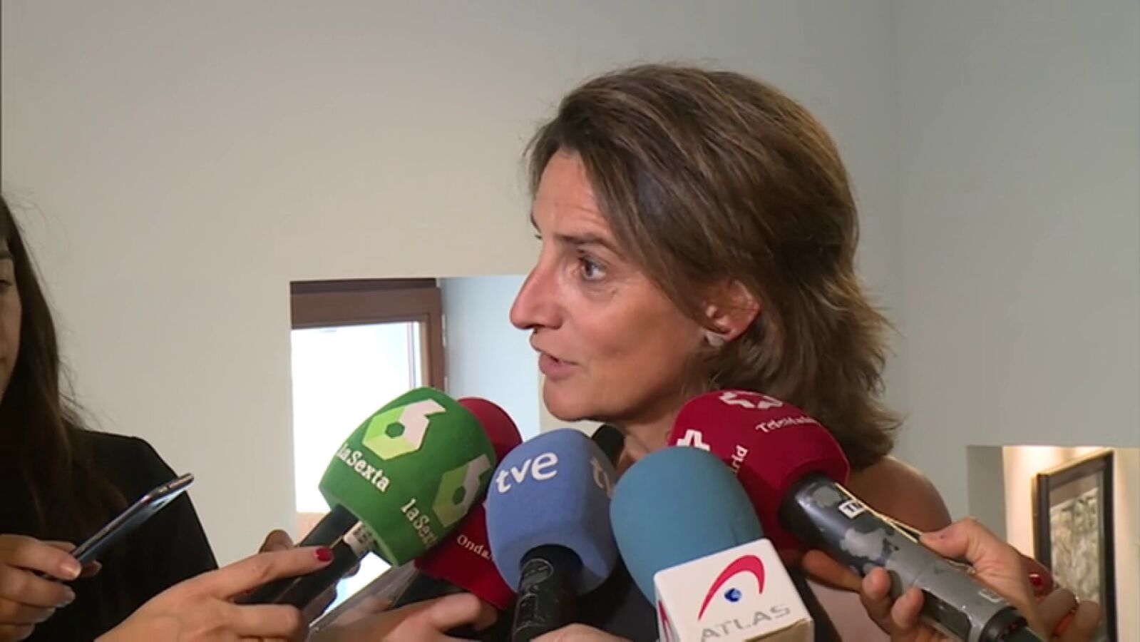 Teresa Ribera, ministra de Transición Ecológica: 