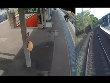 Un usuario del tren de Syney cae a la vía y casi es arrollado por un convoy Un usuario del tren de Syney cae a la vía y casi es arrollado por un convoy
