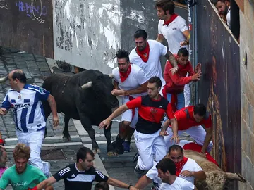 Un toro de Núñez del Cuvillo junto a varios mozos a su paso por la curva de Mercaderes Un toro de Núñez del Cuvillo junto a varios mozos a su paso por la curva de Mercaderes