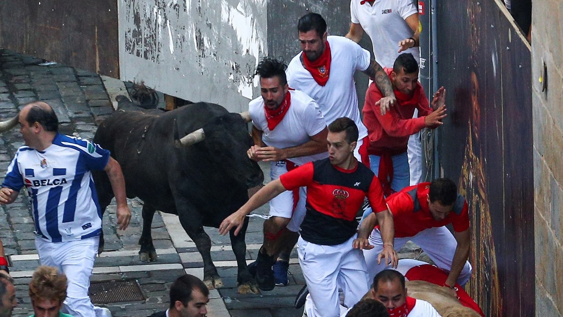 Un toro de Núñez del Cuvillo junto a varios mozos a su paso por la curva de Mercaderes