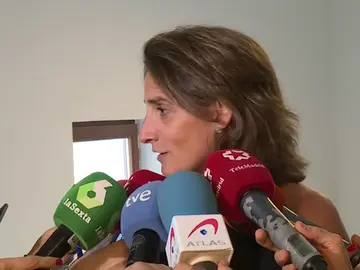 Teresa Ribera, ministra de Transición Ecológica: "El diesel tiene los días contados" Teresa Ribera, ministra de Transición Ecológica: "El diesel tiene los días contados"