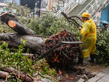 Consecuencias del tifón 'María' en China Consecuencias del tifón 'María' en China