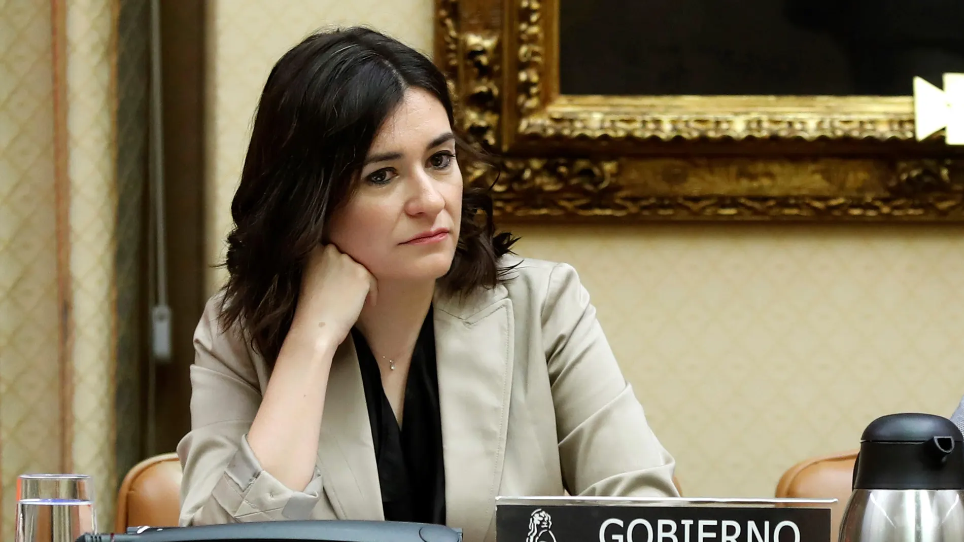 La exministra de Sanidad, Consumo y Bienestar Social, Carmen Montón La exministra de Sanidad, Consumo y Bienestar Social, Carmen Montón