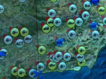 Doce caballos ayudarán a prevenir los incendios en Galicia Doce caballos ayudarán a prevenir los incendios en Galicia