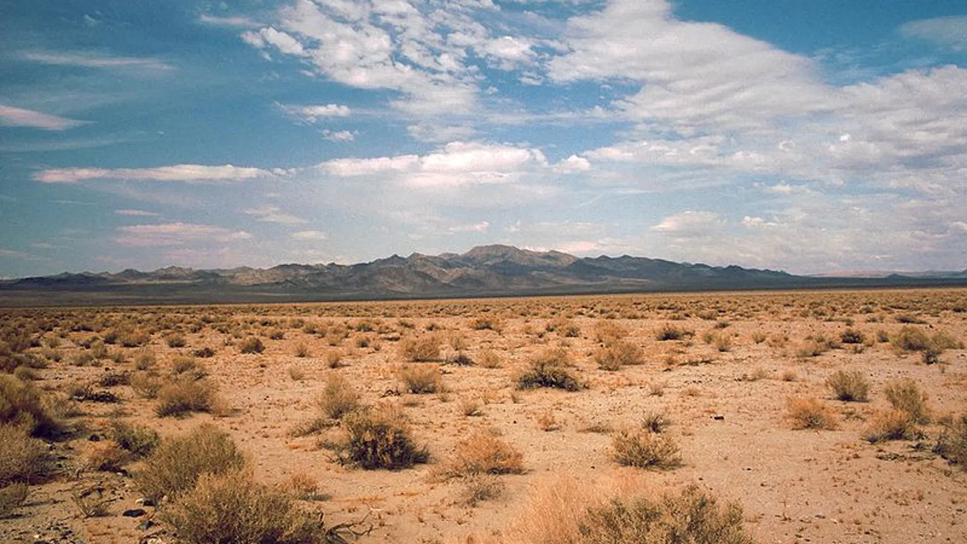 Bioingenieria para combatir los efectos del cambio climatico Bioingenieria para combatir los efectos del cambio climatico