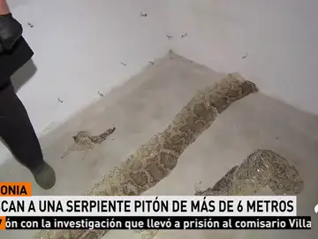 PITON PITON
