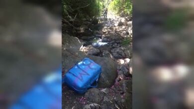 Encuentran más de una tonelada de hachís escondido entre la maleza en Algeciras