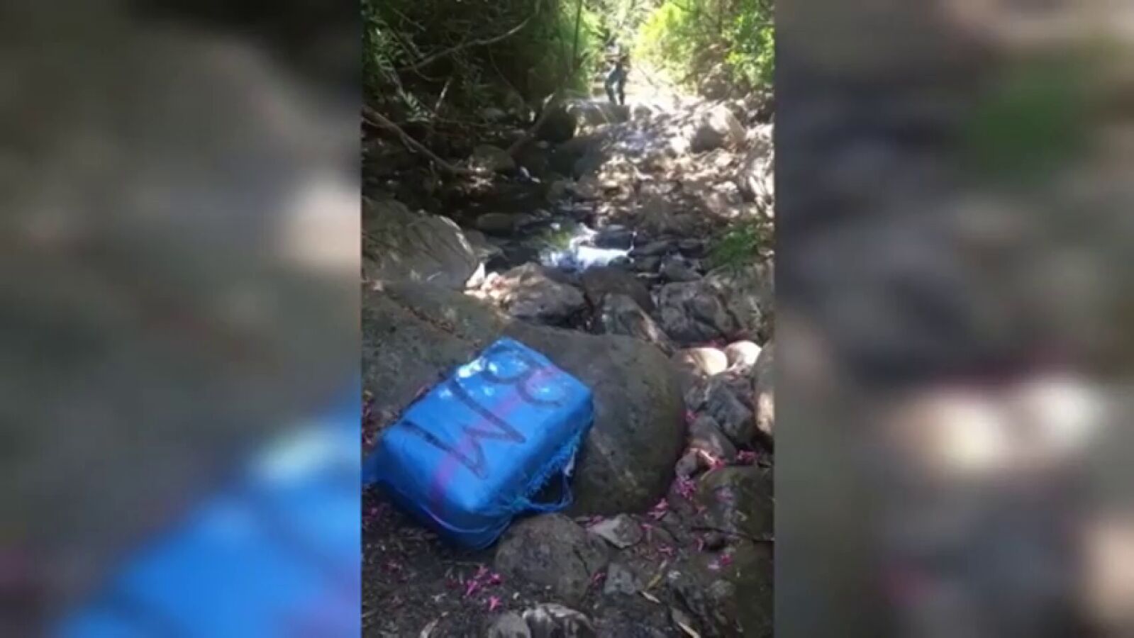 Encuentran más de una tonelada de hachís escondido entre la maleza en Algeciras