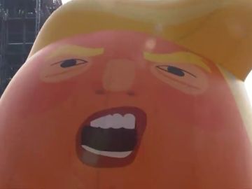 El globo del "bebé Trump" en pañales se alza frente al Parlamento de Londres