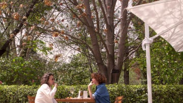 El café del Real Jardín Botánico, un remanso de paz. El café del Real Jardín Botánico, un remanso de paz.