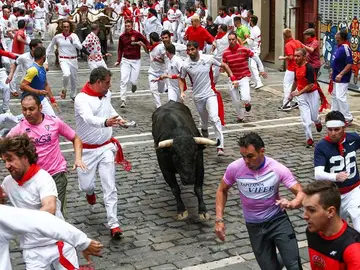 Encierros de San Fermín Encierros de San Fermín