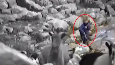 ¿Luka Modric pastoreando ovejas? ¿Luka Modric pastoreando ovejas?