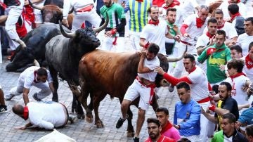 Un toro de la ganadería sevillana de Miura arrastra a un mozo a su paso por el tramo de Telefónica Un toro de la ganadería sevillana de Miura arrastra a un mozo a su paso por el tramo de Telefónica