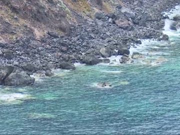 Un menor de 16 años, en estado crítico tras caer a unas rocas en la costa de Tenerife Un menor de 16 años, en estado crítico tras caer a unas rocas en la costa de Tenerife