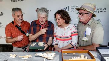 Los directores de las excavaciones arqueológicas de la sierra de Atapuerca y la consejera de cultura y turismo de la Junta de Castilla y León