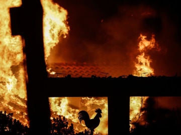 Noticias de la Mañana (24-07-18) Al menos 50 muertos y más de 150 heridos en los incendios fuera de control que rodean Atenas